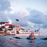 liveaboard diving in Tubbataha reefs
