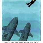 Liveaboard shark joke